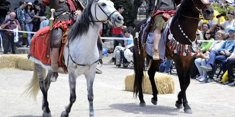 El jaciment de la Llosa acollirà un espectacle de la cavalleria romana dins el Festival Tarraco Viva