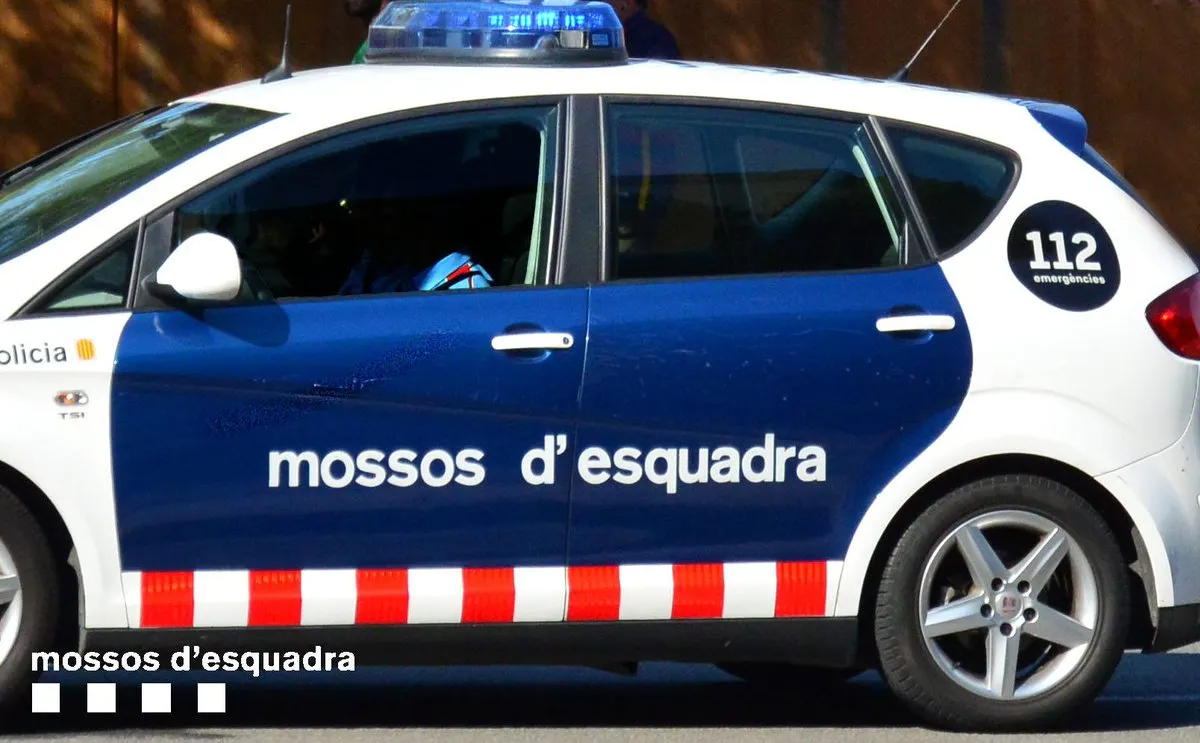 Els Mossos d’Esquadra detenen quatre persones per robar garrofes a Riudoms