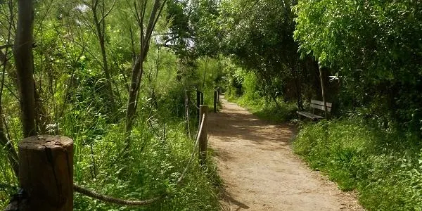 Nova visita guiada a l’espai natural de la desembocadura del riu Gaià i a l’Hort de la Sínia d’Altafulla