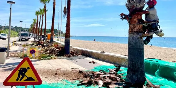 Es licita el servei de poda al Francaset de Roda de Berà