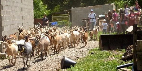 La Tribu del Gaià busca un espai més ampli perd donar resposta a les necessitats dels infants