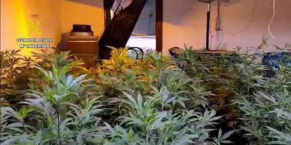 Un immoble del Catllar ha format part aquest dimecres d’un operatiu contra el tràfic de droga