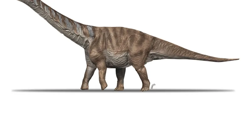 Paleontòlegs de l'ICP descriuen una nova espècie considerada com l'últim dinosaure gegant dels Pirineus
