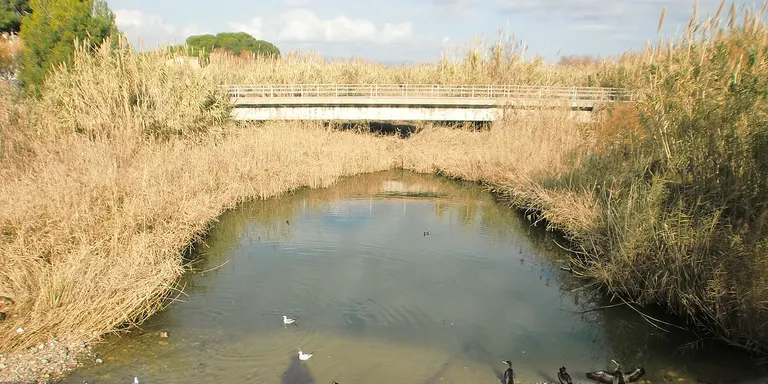 L’ACA concedeix un ajut de gairebé 48.000 euros a Cambrils pel manteniment de la Riera de Riudoms