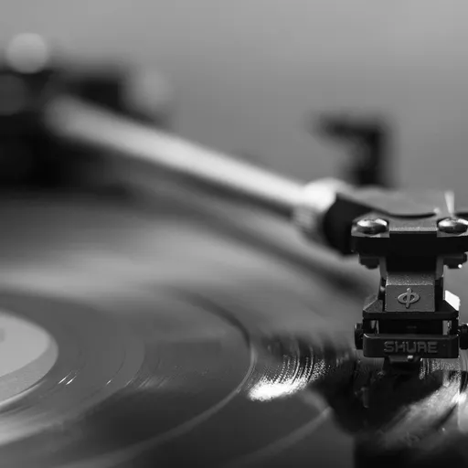 Informació i música