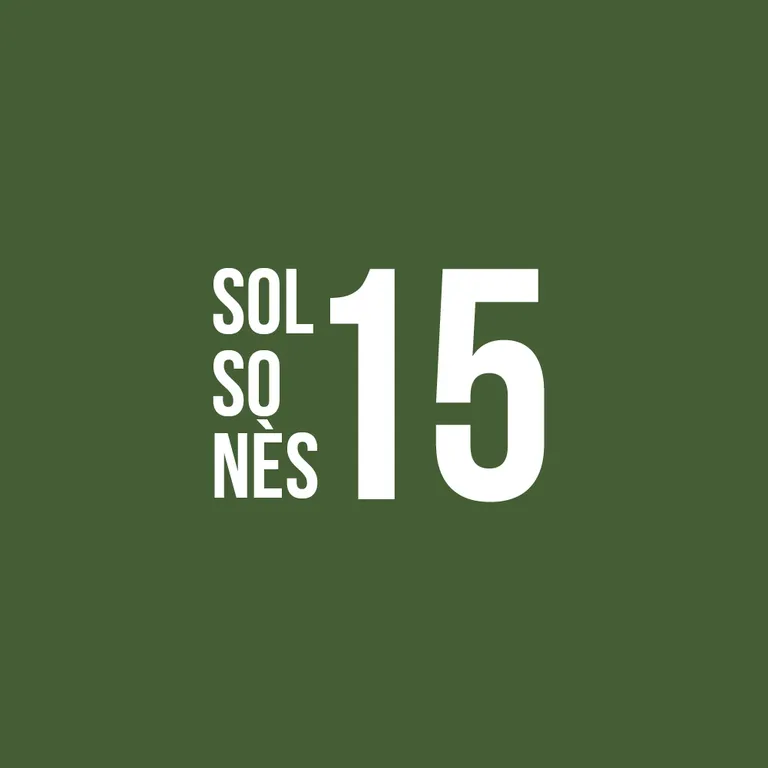 Solsonès 15
