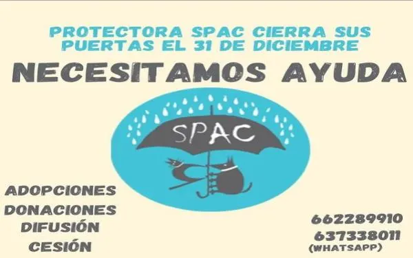 Foto: SPAC