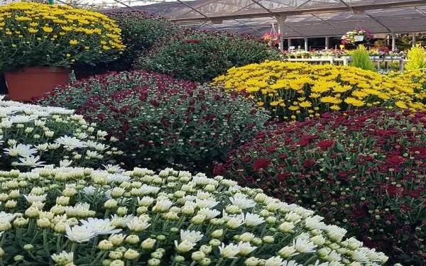 Foto: Garden Gaià