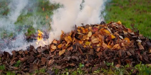 Autoritzen les petites explotacions agràries a cremar restes vegetals sense un permís excepcional