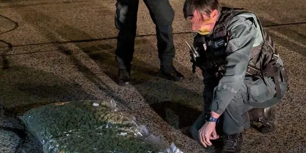 La Guàrdia Civil intervé 14 kg de marihuana en un cotxe que circulava per l’autopista, a l’altura del Mèdol