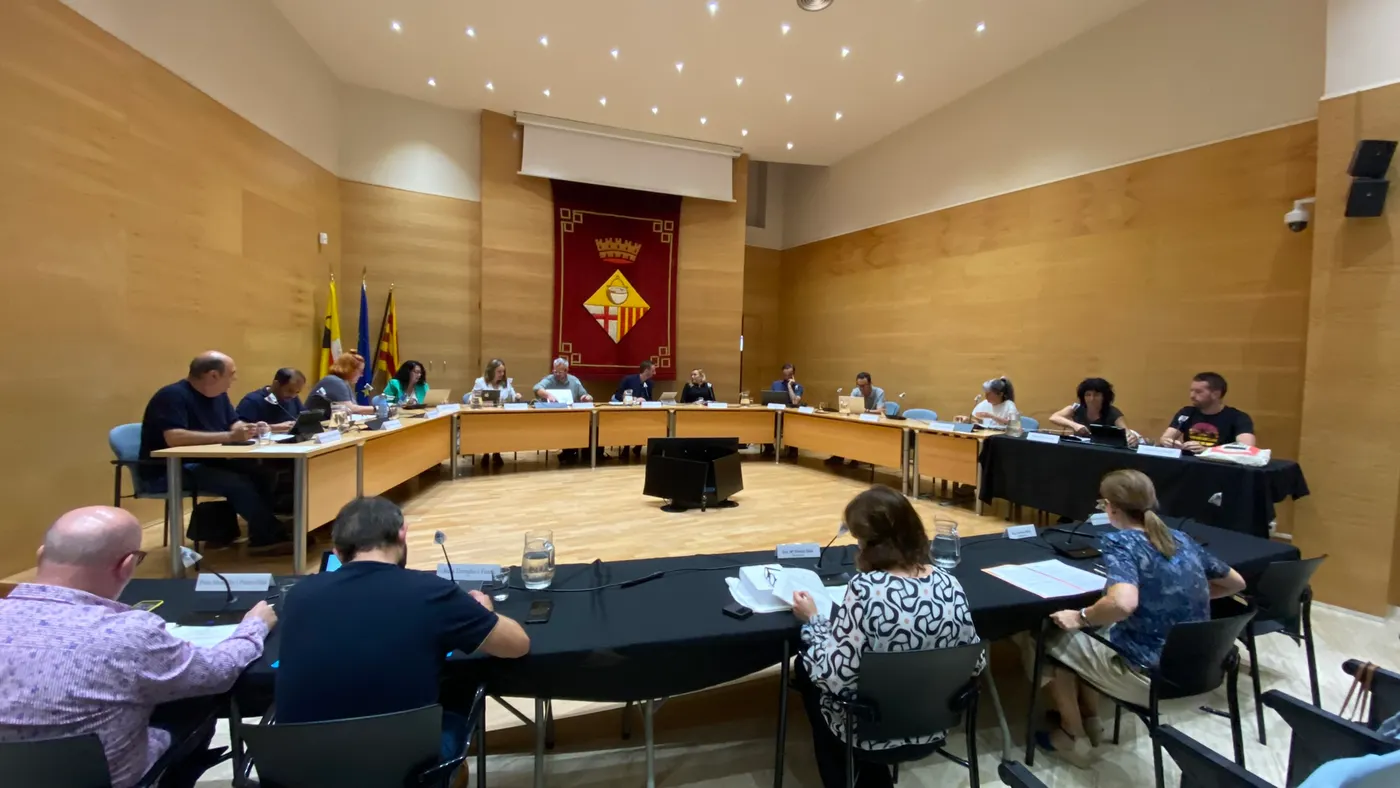 El ple municipal aprova els diumenges 10 i el 31 de desembre de 2023 com a dies festius addicionals amb obertura comercial autoritzada
