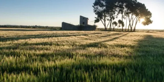 Sortida naturalística a l'espai natural de Granyena