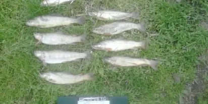 Enxampen dos pescadors furtius a la reserva de caça Alt Urgell-Cerdanya