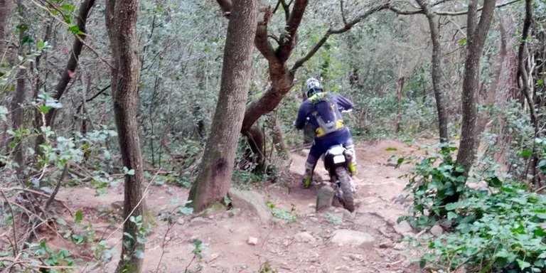 Mossos d'Esquadra i guardes forestals fan controls d'accés motoritzat al Parc de Montnegre i el Corredor