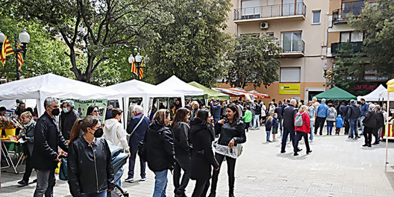 Arenys de Mar comença els preparatius per la diada de Sant Jordi