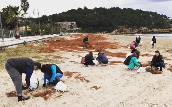 Foto: Associació Mediambiental la Sínia