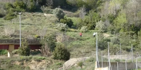 Continuen els controls policials per evitar que les persones se saltin el confinament
