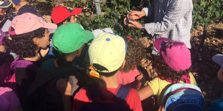 Èxit de la segona edició de la cursa solidària contra el càncer infantil