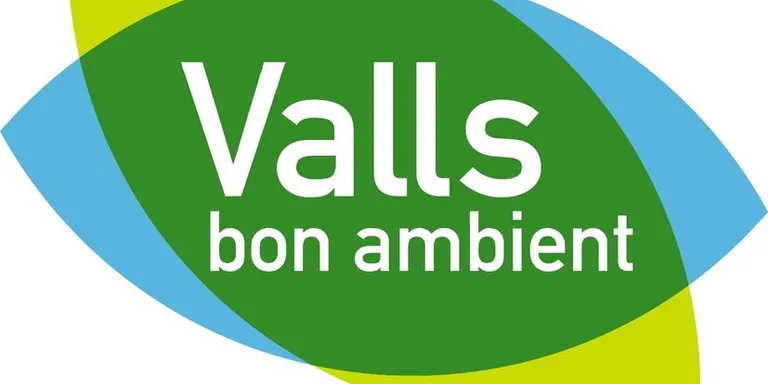 Es realitzen tractaments per analitzar l’estat de l’arbrat viari de la ciutat