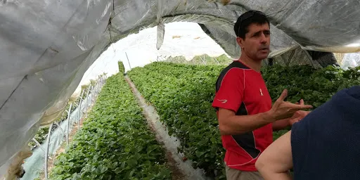 8 pagesos i ramaders d'Arenys de Munt estan cridats a votar a les Eleccions agràries, les primeres 100% electròniques