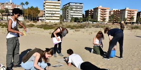 Una cinquantena d'estudiants europeus arriben a Torredembarra per estudiar les dunes experimentals de la platja de la Paella