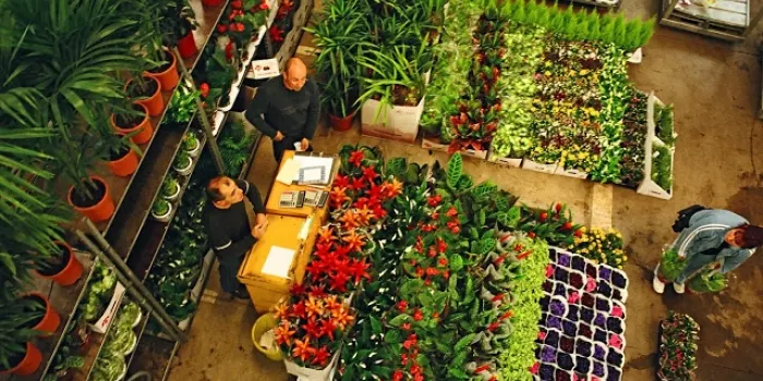El Mercat de la Flor i Planta Ornamental de Catalunya crea un distintiu de quilòmetre zero