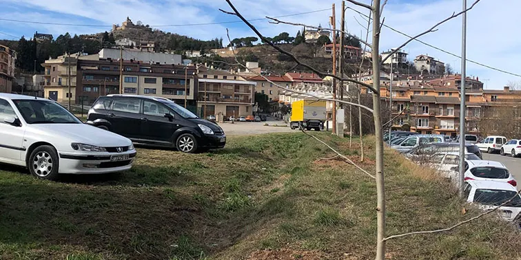 Trasplanten noguers al Camp del Serra per crear espais d'ombra a l'estiu