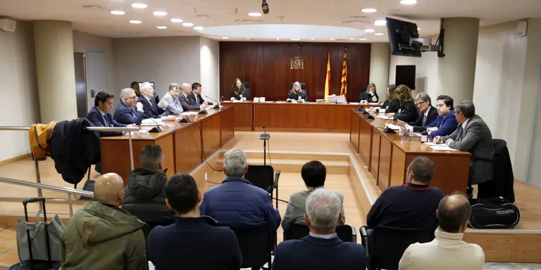 Els cinc acusats de vendre cries de falcó robades d'una empresa del Solsonès accepten entre 6 mesos i 3 anys de presó