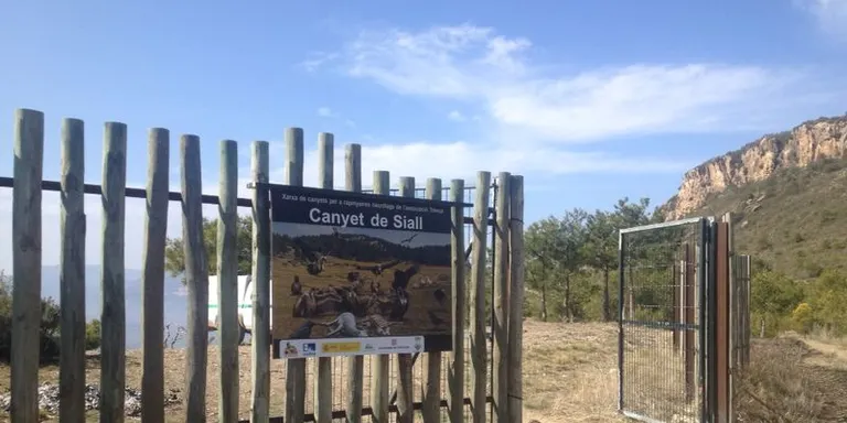 Acord per a un nou punt d'alimentació suplementària per als voltors del Pirineu