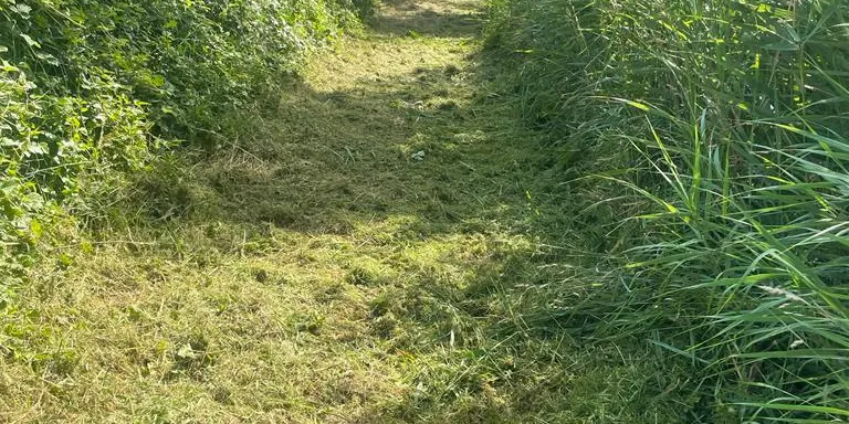 El Consell del Solsonès desbrossa diversos camins de la xarxa de senderisme de la comarca