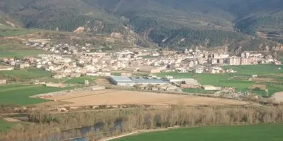 Comís de 111 plantes de marihuana a Oliana