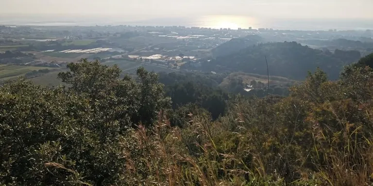 Dies de bonança fins divendres