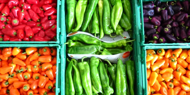 Ernest Mas, de Verdcamp Fruits, pronuncia avui la xerrada 'Cultivar el paisatge per produir aliments'