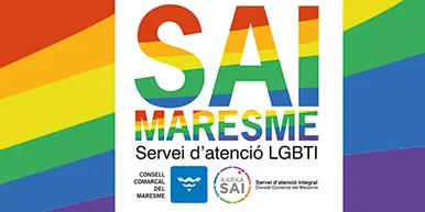 El Consell Comarcal impulsa un òrgan d'atenció integral al col·lectiu LGBTI