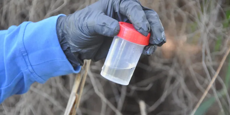 Es reprenen els tractaments setmanals contra els mosquits