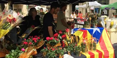 ESPECIAL SANT JORDI: La rosa, la protagonista de la jornada