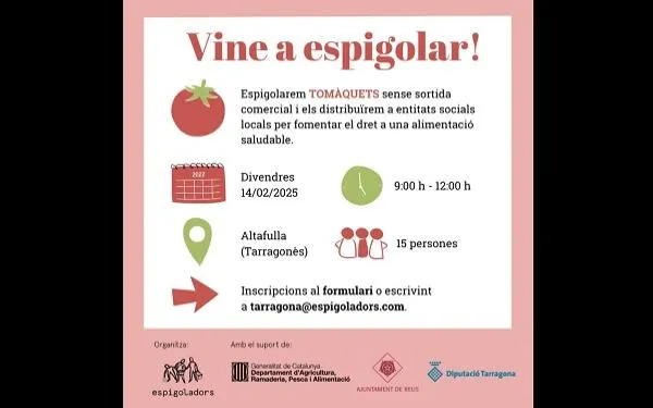 Horta Blanch torna a cedir part de la seva collita sense sortida comercial als Espigoladors