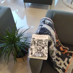 #91 - Balanç de les Biblioteques de Torredembarra i el nou Pla de Lectura - episode art