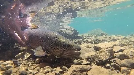 Agricultura i pescadors aposten per una pesca sostenible en les zones intensives