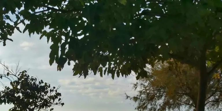 Bonança amb núvols baixos