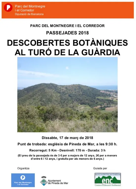 Ruta guiada per conèixer les plantes del Turó de la Guàrdia