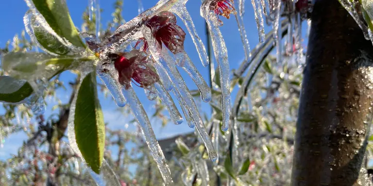 Primer cap de setmana de primavera gelat