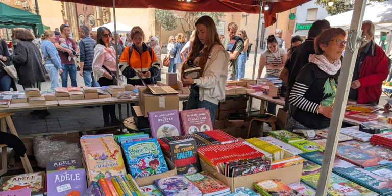 Els llibres arenyencs per aquesta diada: Carme Castellano, Manel Teodoro o Albert Maynou