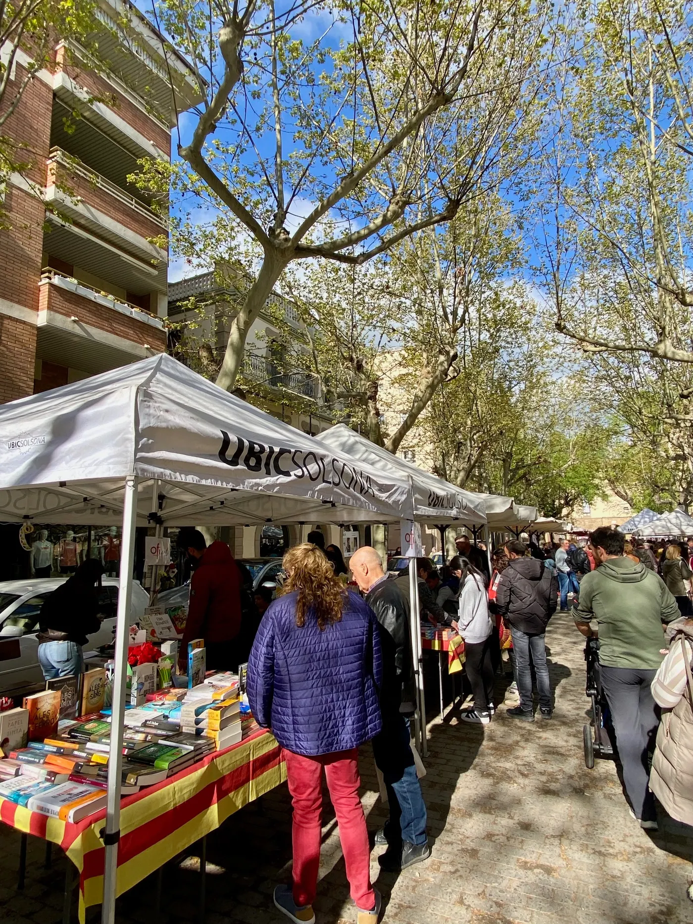 Solsona tornarà a treure al carrer demà una trentena de parades per celebrar la Diada de Sant Jordi