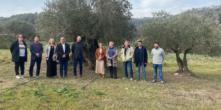 Una desena de municipis dels dos vallesos, entre ells Caldes, apleguen esforços per crear la DOP Oli de Vera del Vallès