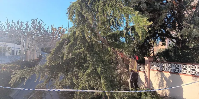 Ratxes superiors als 100 quilòmetres per hora en diversos punts de la demarcació