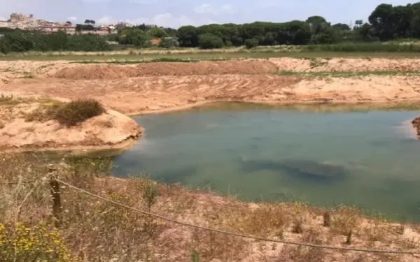 Foto: Associació Mediambiental la Sínia