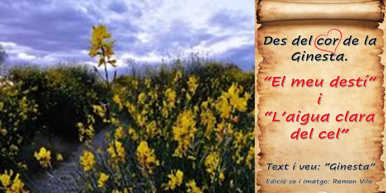 Des del cor de la “Ginesta”, avui notareu una mica de transcendència en aquestes afinades poesies: “El meu destí” i “L’aigua clara del cel”