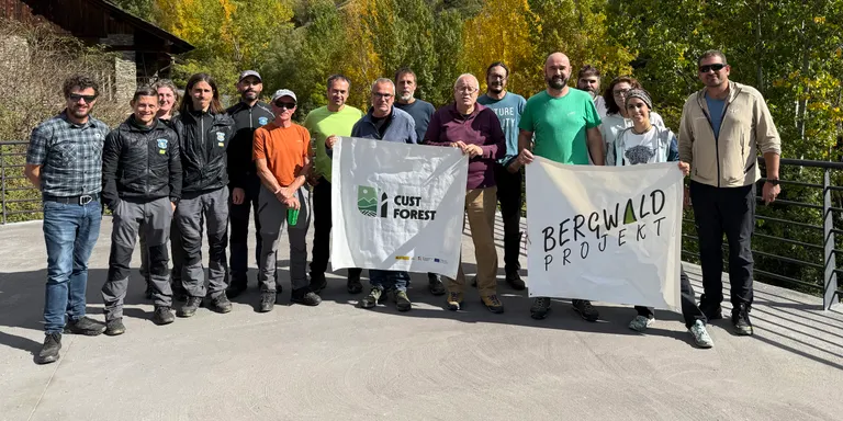Milloren l'hàbitat del gall fer a Esterri de Cardós gràcies a l'impuls de la bioenginyeria del paisatge