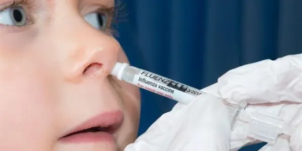 Salut farà una prova pilot amb una vacuna intranasal de la grip en 3.000 infants